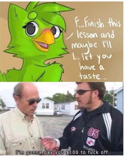 If it exists, there is porn of it / duolingo .